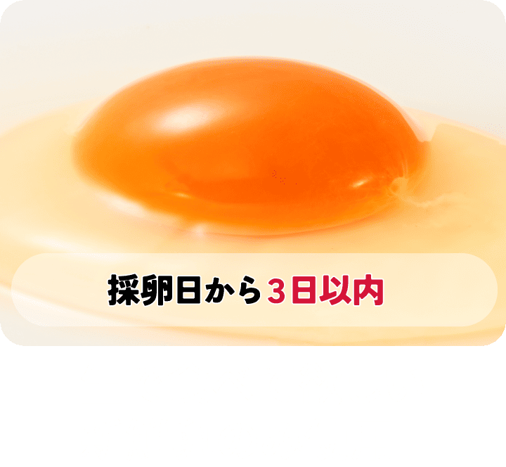 生で食べて欲しい新鮮卵のみ使用