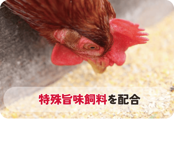 クロスジェイ® (地養卵の素)の力で 際立つ旨味とコク